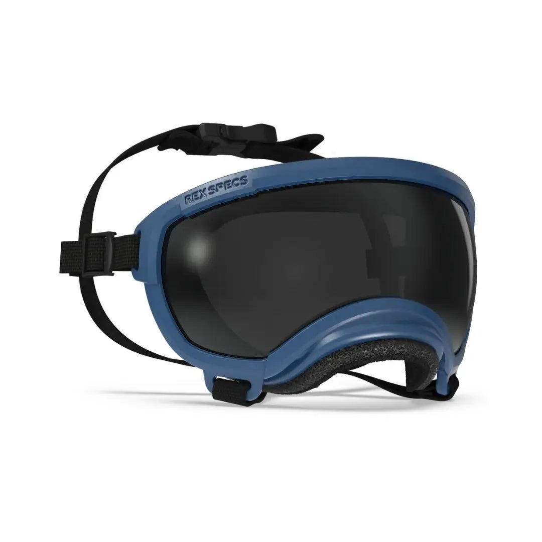 Rex Specs V2 - Beskyttelsesbriller - Beskyttelsesbriller (XS) fra Rex Specs | Kjøp hos A - Vet Shop