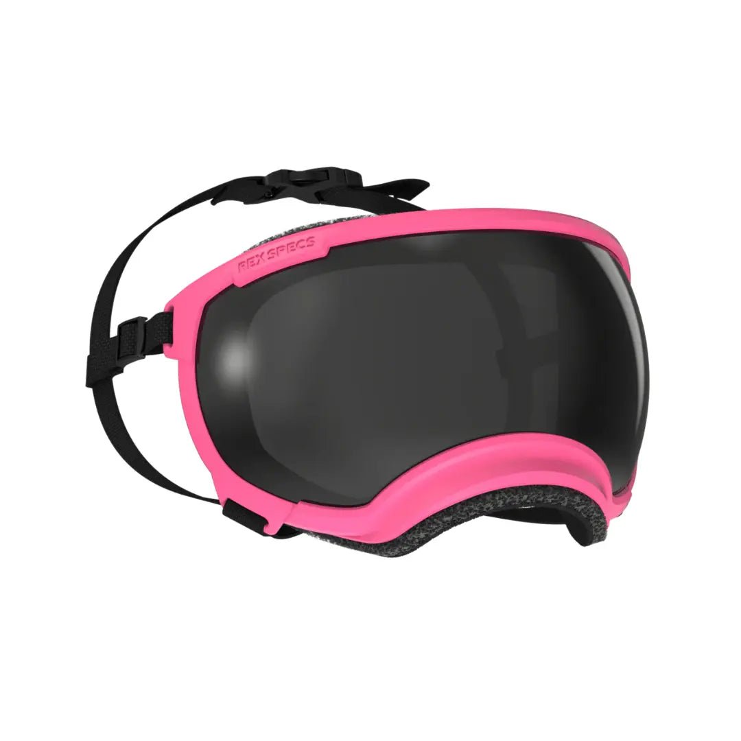 Rex Specs V2 - Beskyttelsesbriller - Beskyttelsesbriller (XS) fra Rex Specs | Kjøp hos A - Vet Shop