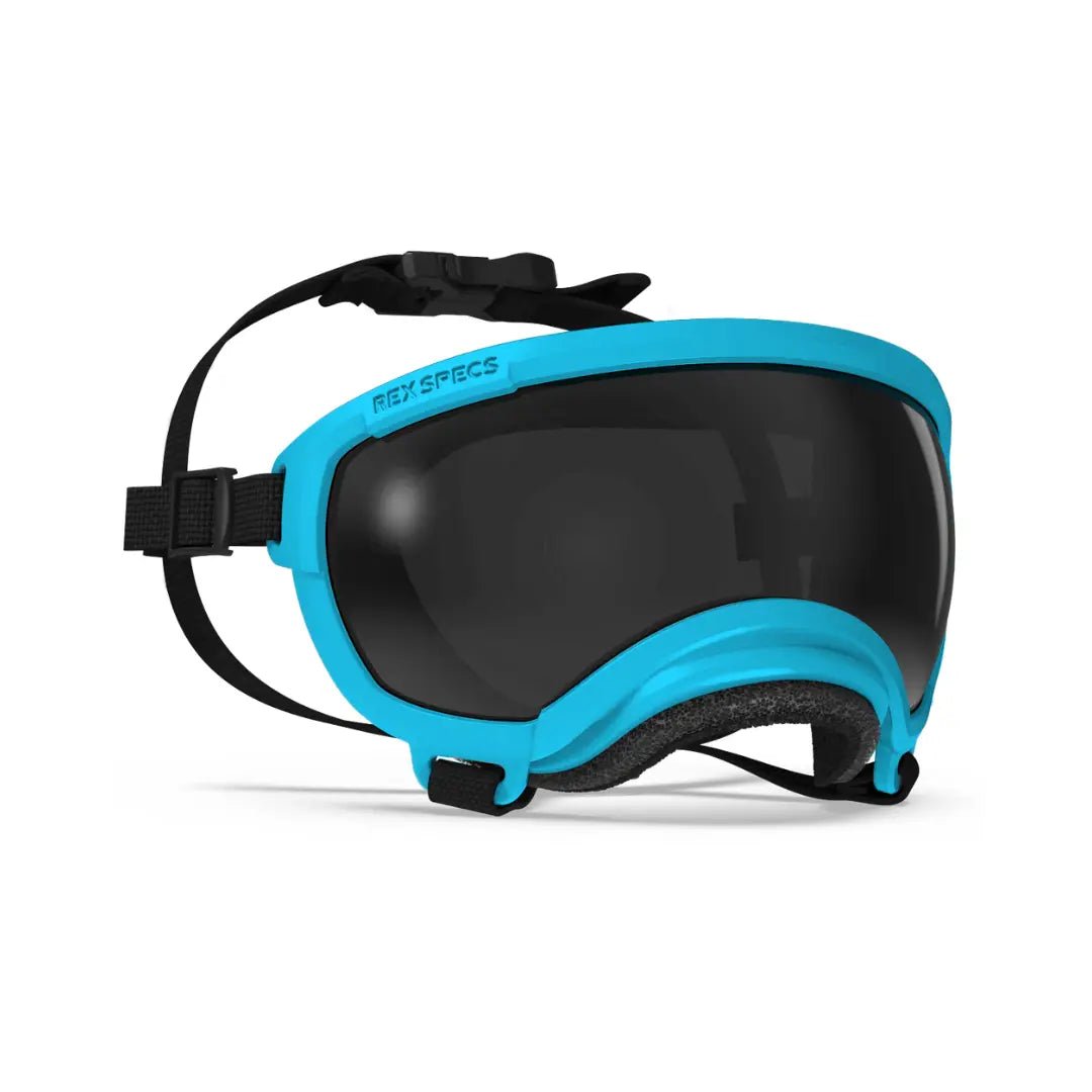 Rex Specs V2 - Beskyttelsesbriller - Beskyttelsesbriller (XS) fra Rex Specs | Kjøp hos A - Vet Shop