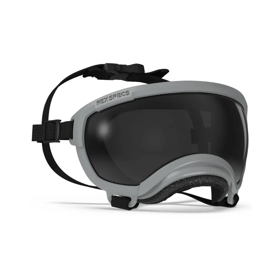 Rex Specs V2 - Beskyttelsesbriller - Beskyttelsesbriller (XS) fra Rex Specs | Kjøp hos A - Vet Shop
