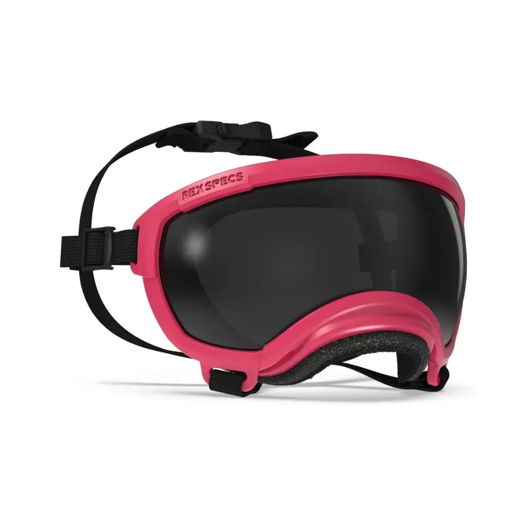 Rex Specs V2 - Beskyttelsesbriller - Beskyttelsesbriller (XS) fra Rex Specs | Kjøp hos A - Vet Shop