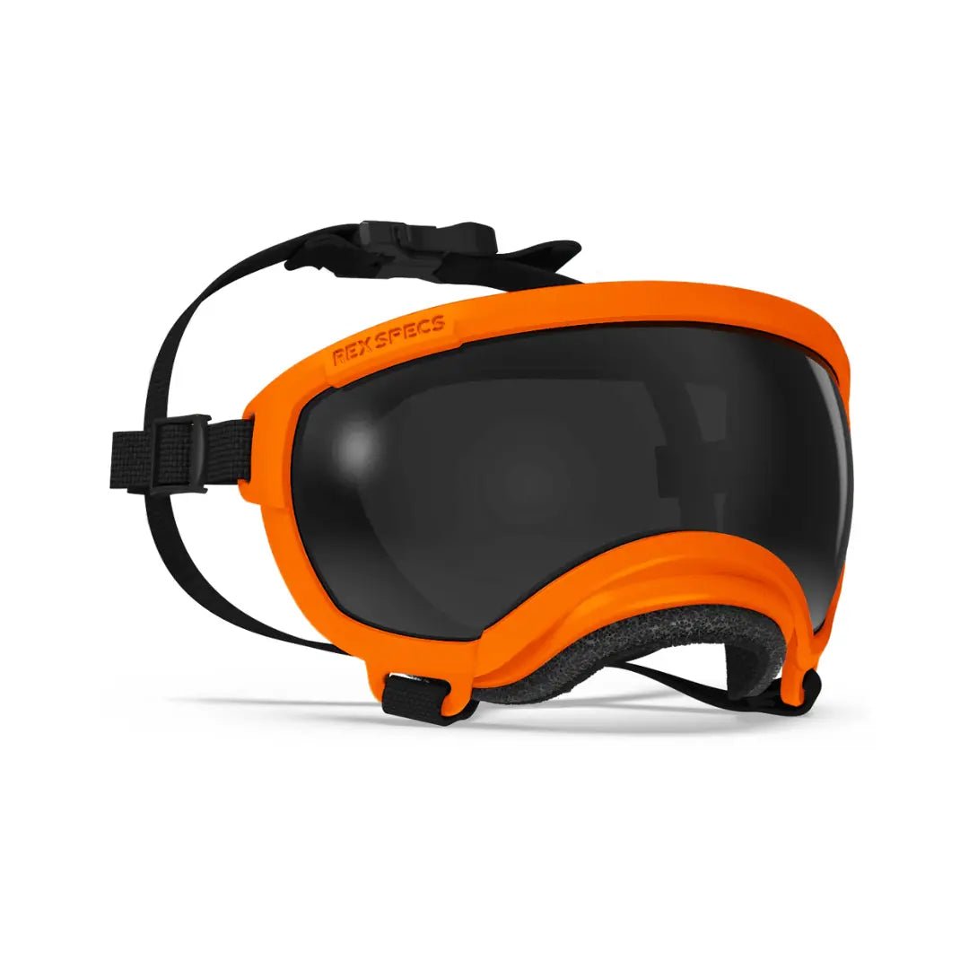 Rex Specs V2 - Beskyttelsesbriller - Beskyttelsesbriller (XS) fra Rex Specs | Kjøp hos A - Vet Shop