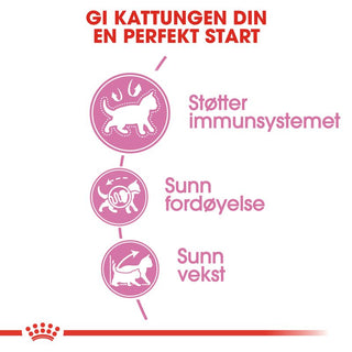 Royal Canin Kitten - A - Vet Shop