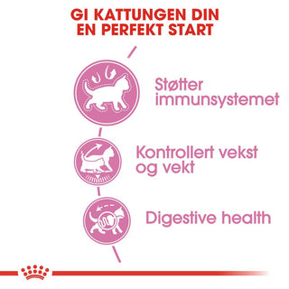 Royal Canin Kitten Sterilised - A - Vet Shop