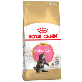 Royal Canin Maine Coon Kitten - A - Vet Shop