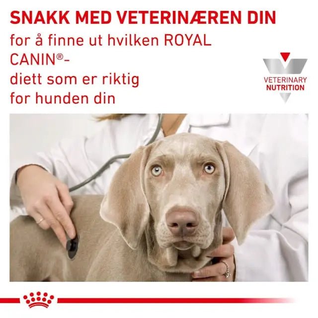 Royal Canin Urinary S/0 Dog - A - Vet Shop