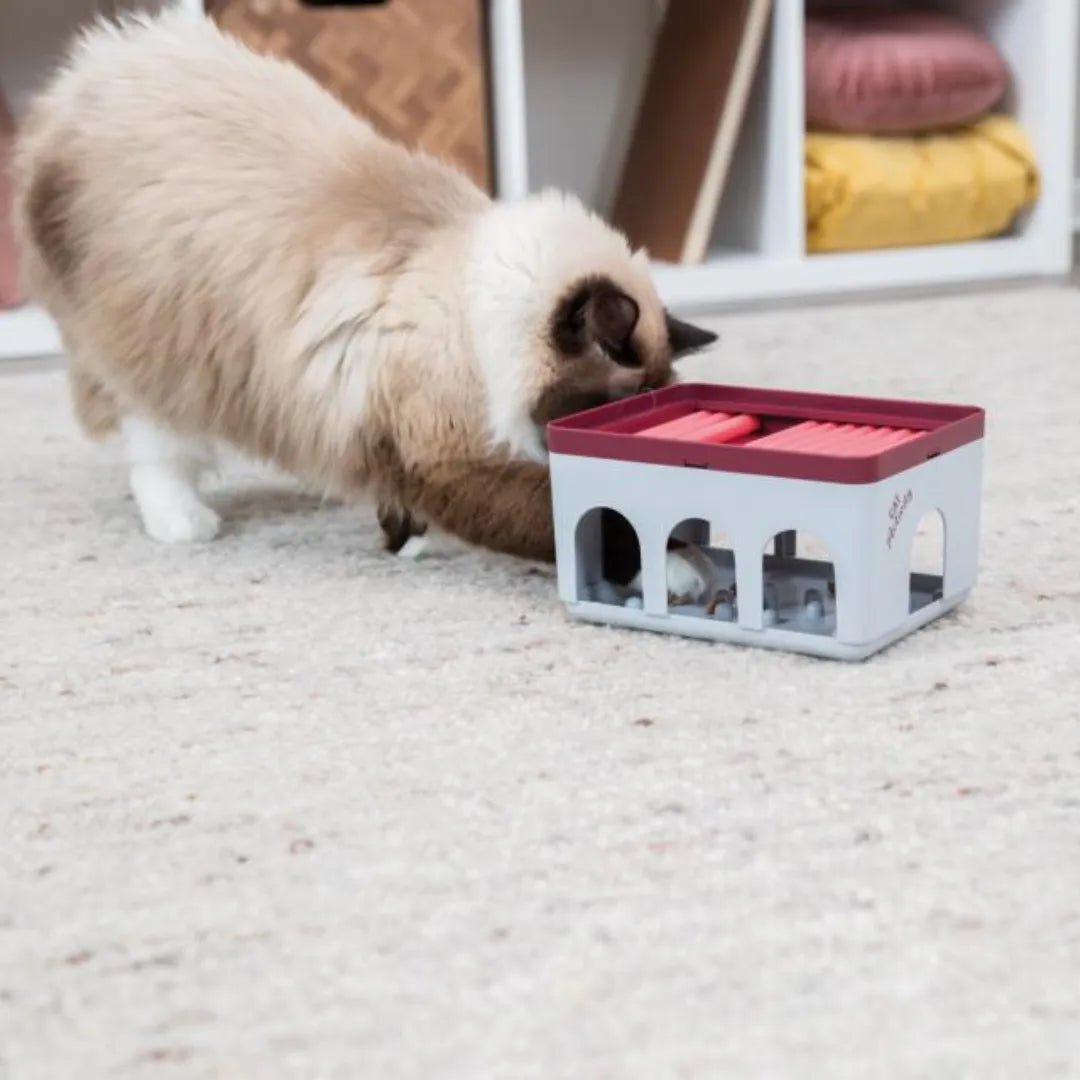 Trixie Cat Activity Rod Box - A - Vet Shop