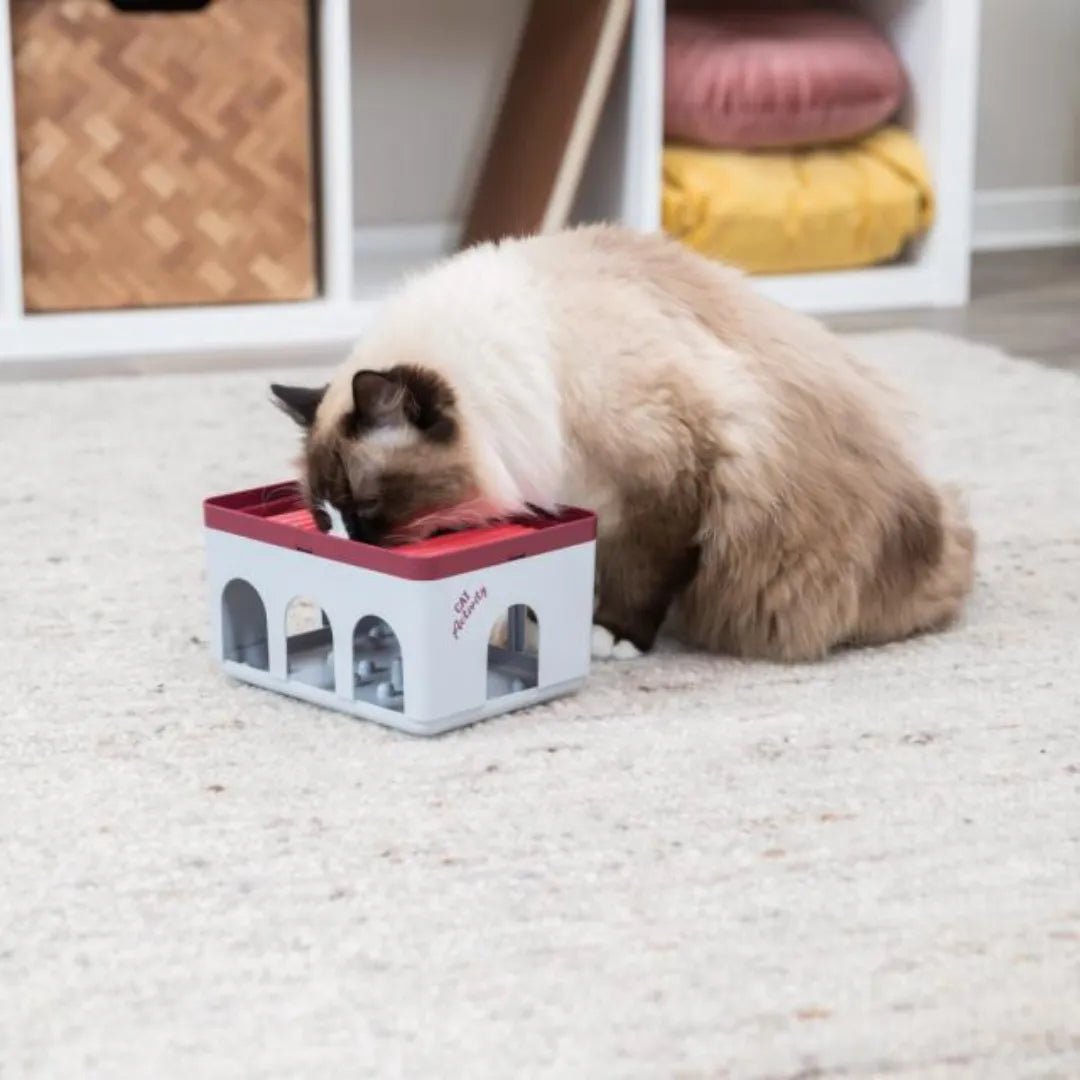 Trixie Cat Activity Rod Box - A - Vet Shop