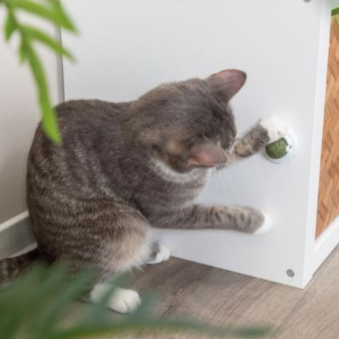 Trixie Catnip ball med holder - A - Vet Shop