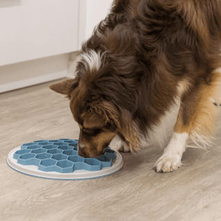 Trixie Hive Slow Feeding Plate - A - Vet Shop