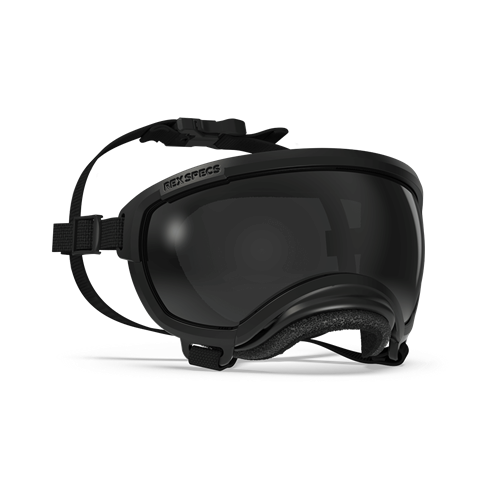 Rex Specs V2 - Beskyttelsesbriller