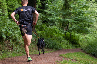 Non-stop Bungee Leash