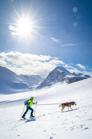 Non-stop Combined Harness