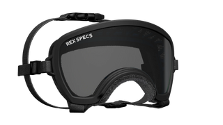Rex Specs Small Wide Goggle