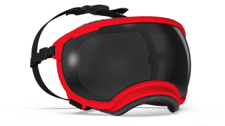 Rex Specs V2 - Beskyttelsesbriller