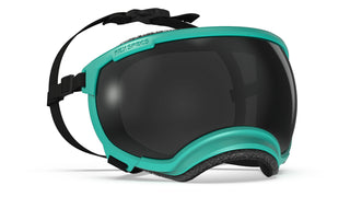 Rex Specs V2 - Beskyttelsesbriller