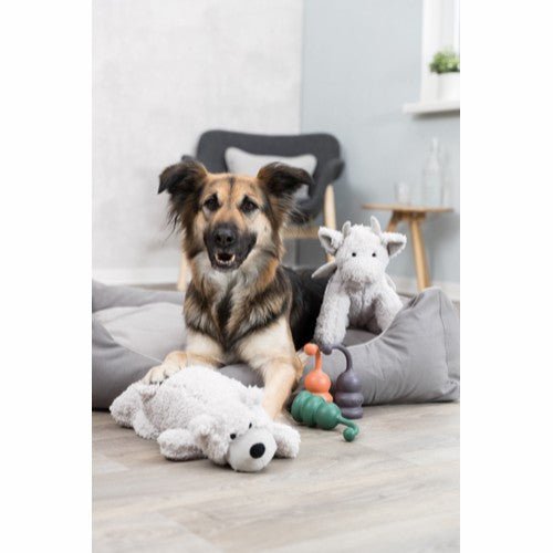 Be Eco Drage Elwin - A - Vet Shop