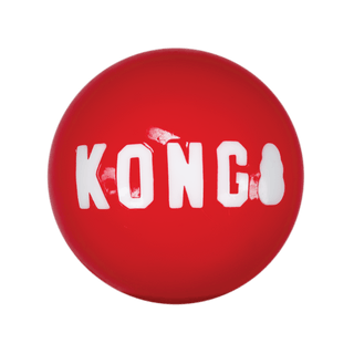 KONG Signature Ball - A - Vet Shop