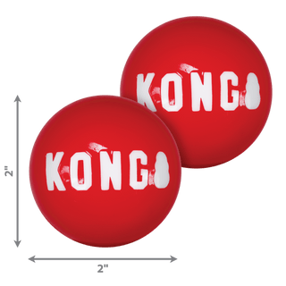 KONG Signature Ball - A - Vet Shop