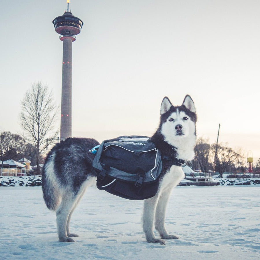 Non - stop Amundsen Pack - A - Vet Shop