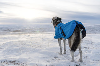 Non - stop Blest Jacket - A - Vet Shop