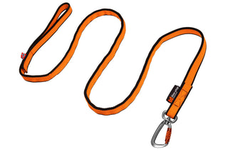 Non - stop Bungee Leash - A - Vet Shop