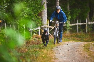 Non - stop Bungee Leash - A - Vet Shop