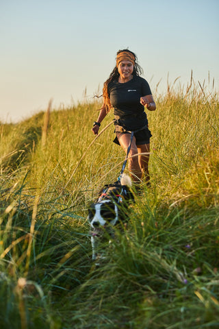 Non - stop CaniX belt - A - Vet Shop