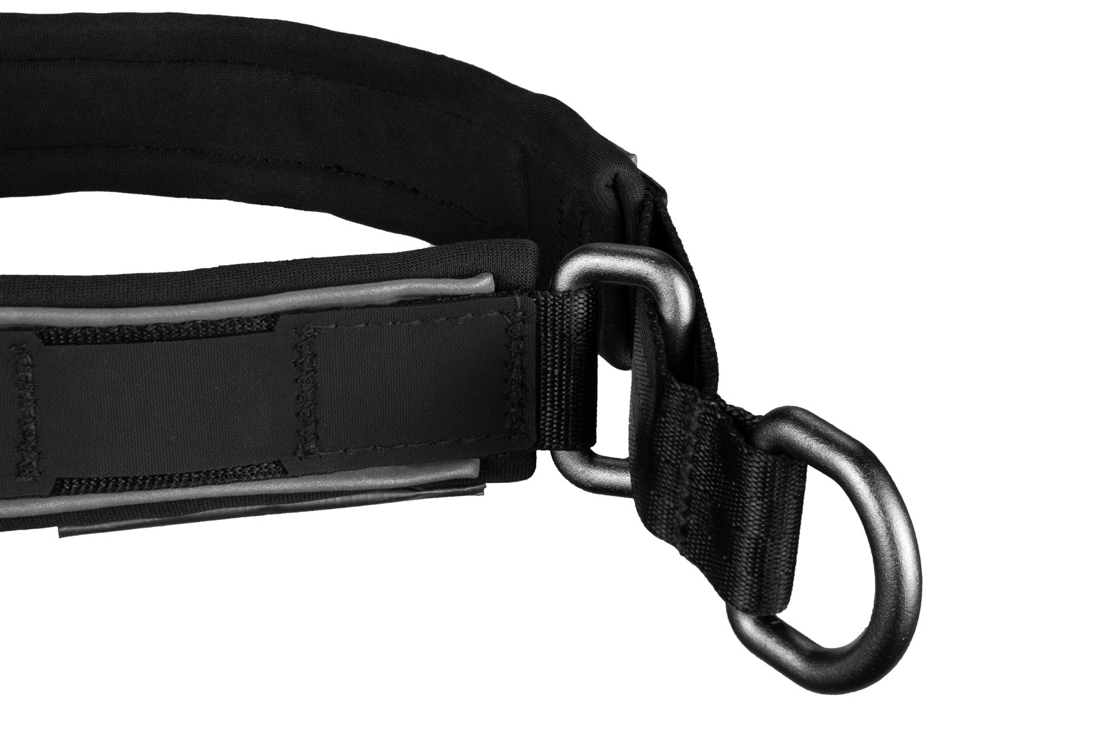Non - stop Cruise Collar - A - Vet Shop