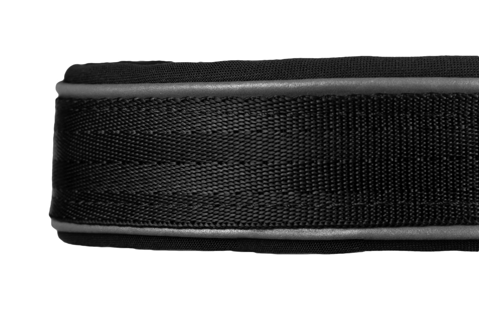 Non - stop Cruise Collar - A - Vet Shop