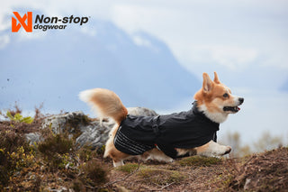 Non - stop Fjord Raincoat - A - Vet Shop