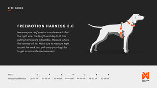 Non - stop Freemotion Harness 5.0 - A - Vet Shop