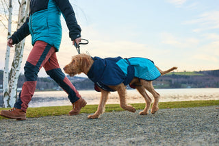 Non - stop Glacier Jacket 2.0 - A - Vet Shop