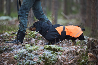 Non - stop Glacier Jacket 2.0 - A - Vet Shop