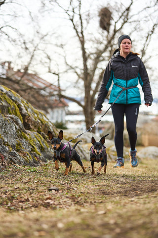 Non - stop Line Harness 5.0 - A - Vet Shop