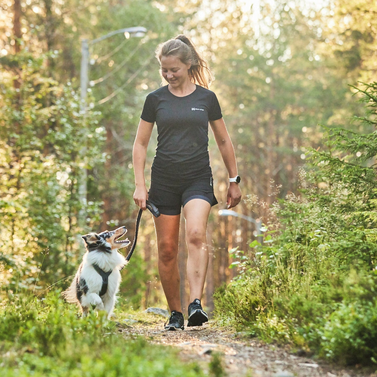 Non - stop Line Harness 5.0 - A - Vet Shop