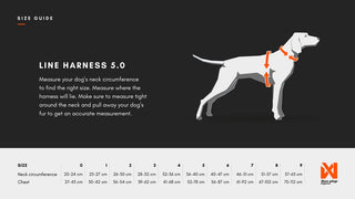 Non - stop Line Harness 5.0 - A - Vet Shop