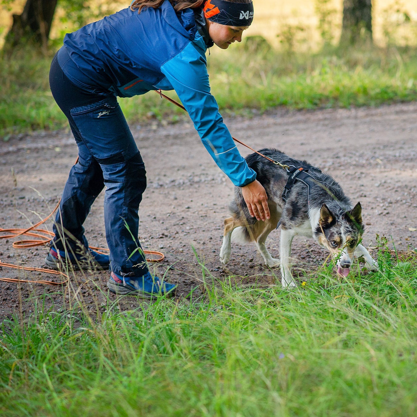 Non - stop Line Harness 5.0 - A - Vet Shop
