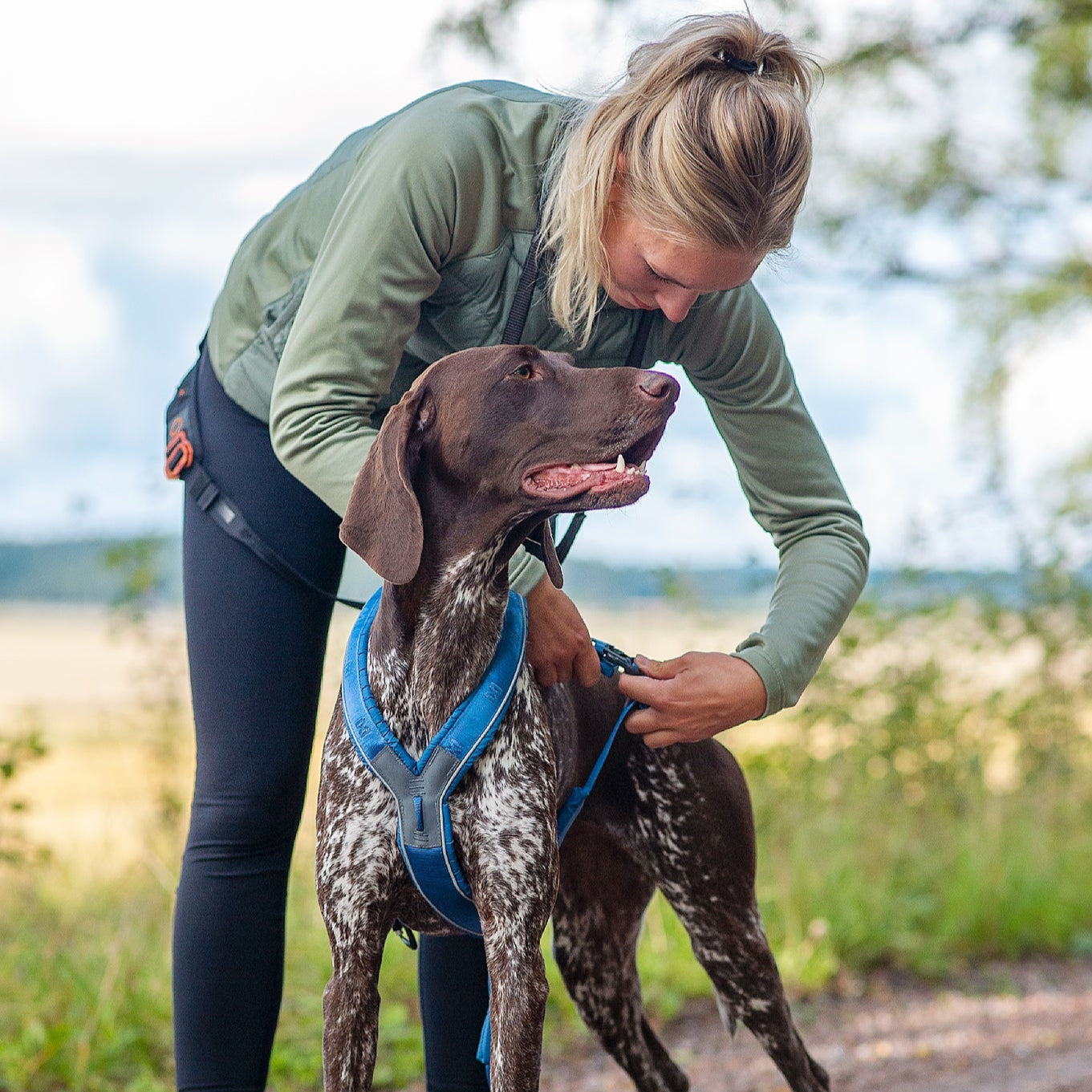Non - stop Line Harness 5.0 - A - Vet Shop