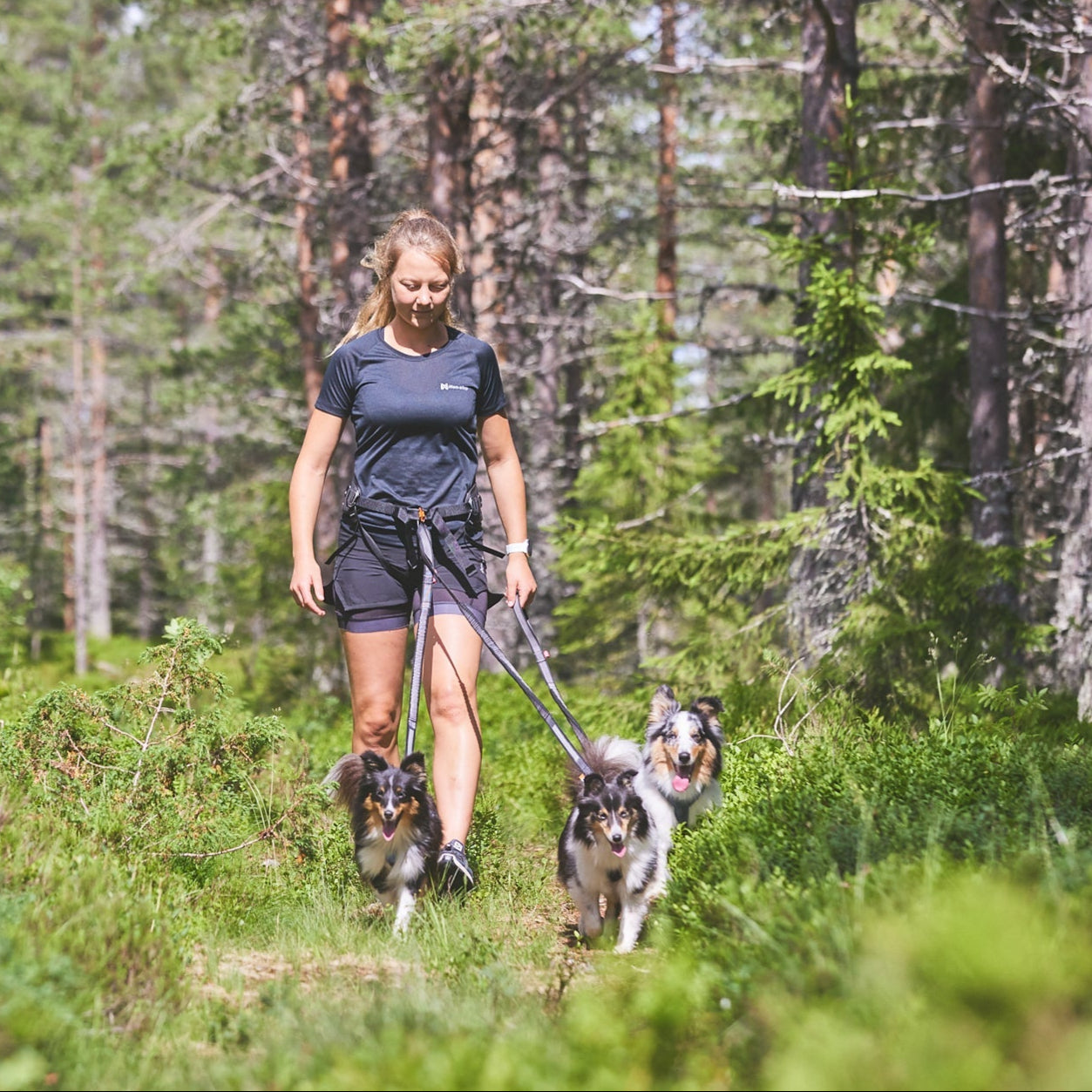 Non - stop Line Harness 5.0 - A - Vet Shop