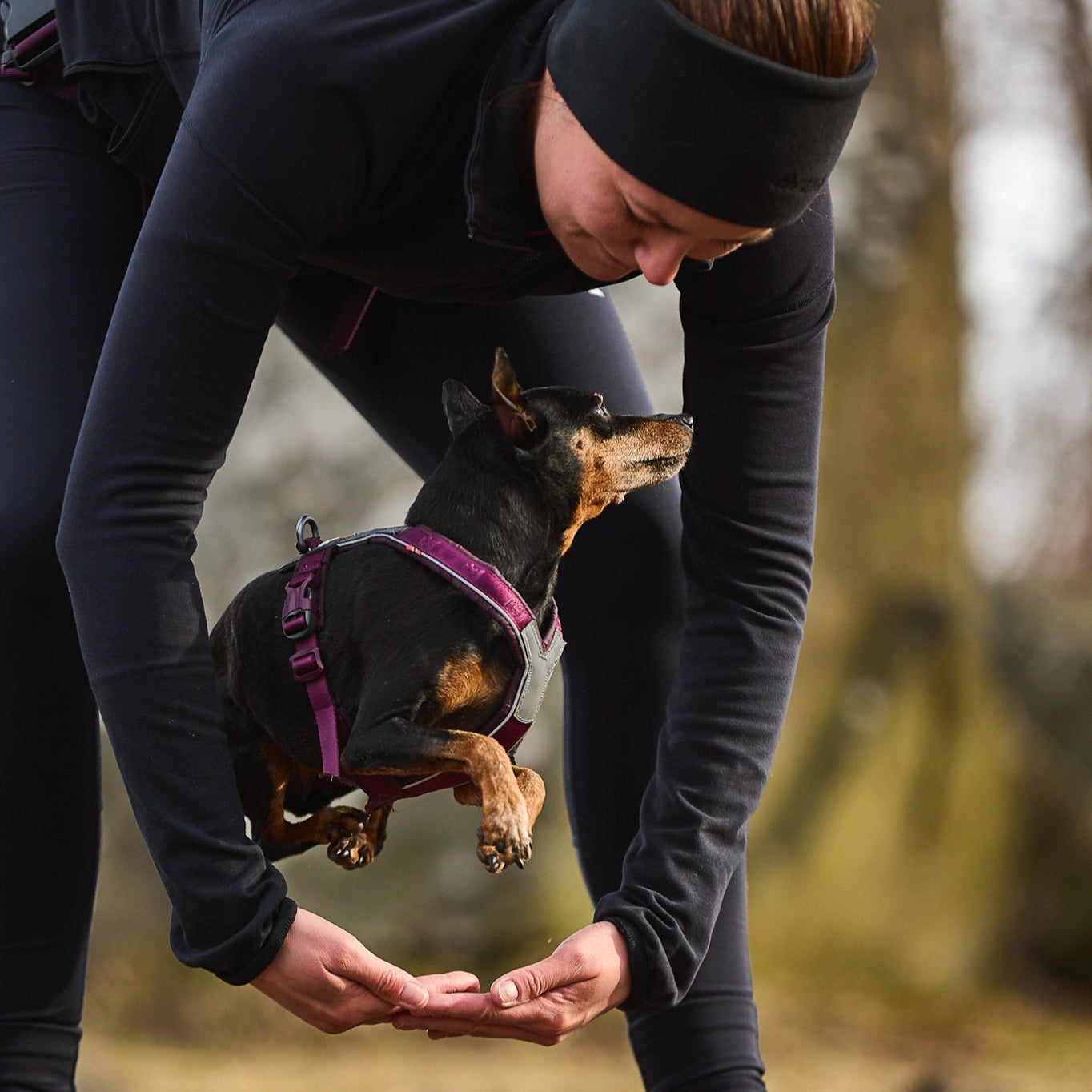 Non - stop Line Harness 5.0 - A - Vet Shop