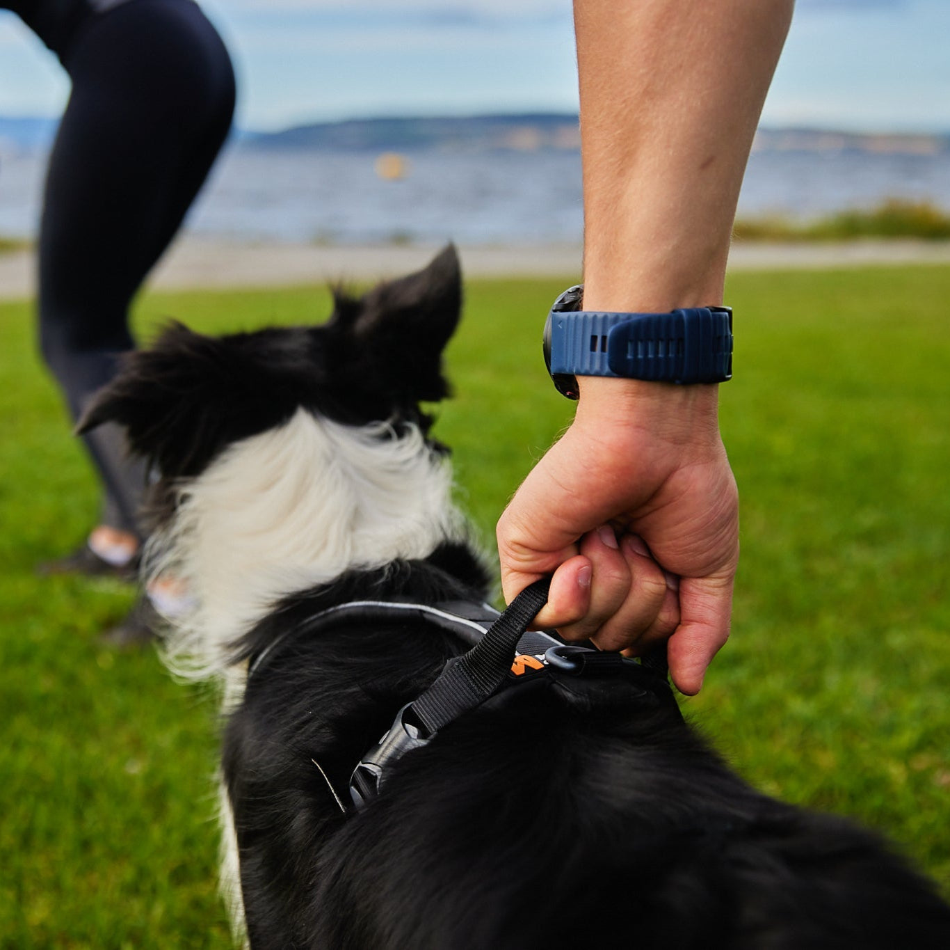 Non - stop Line Harness Grip - A - Vet Shop