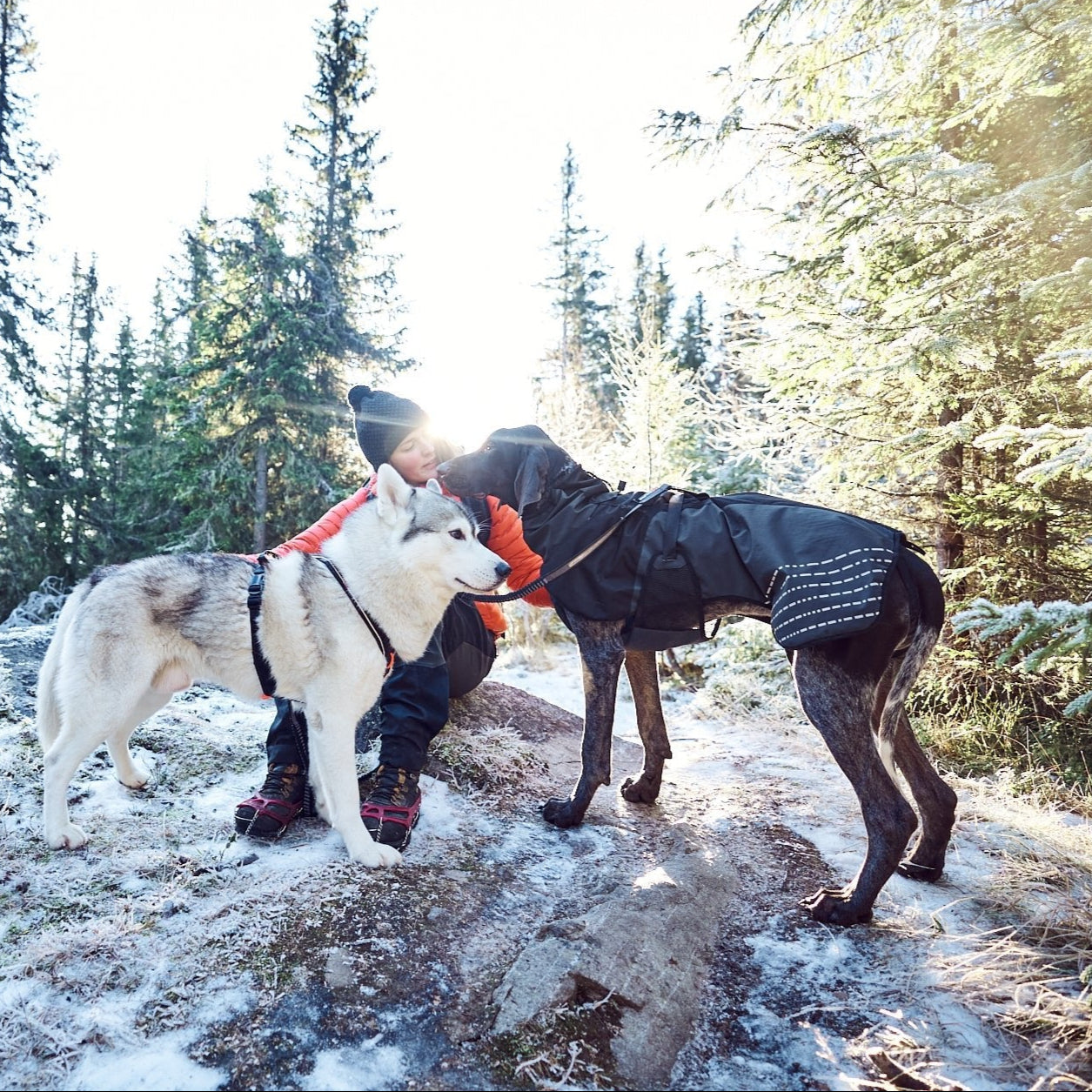Non - stop Line Harness Grip - A - Vet Shop