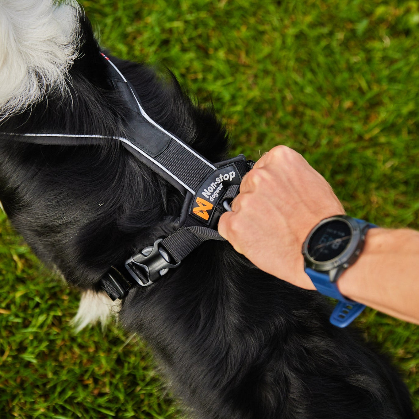 Non - stop Line Harness Grip - A - Vet Shop