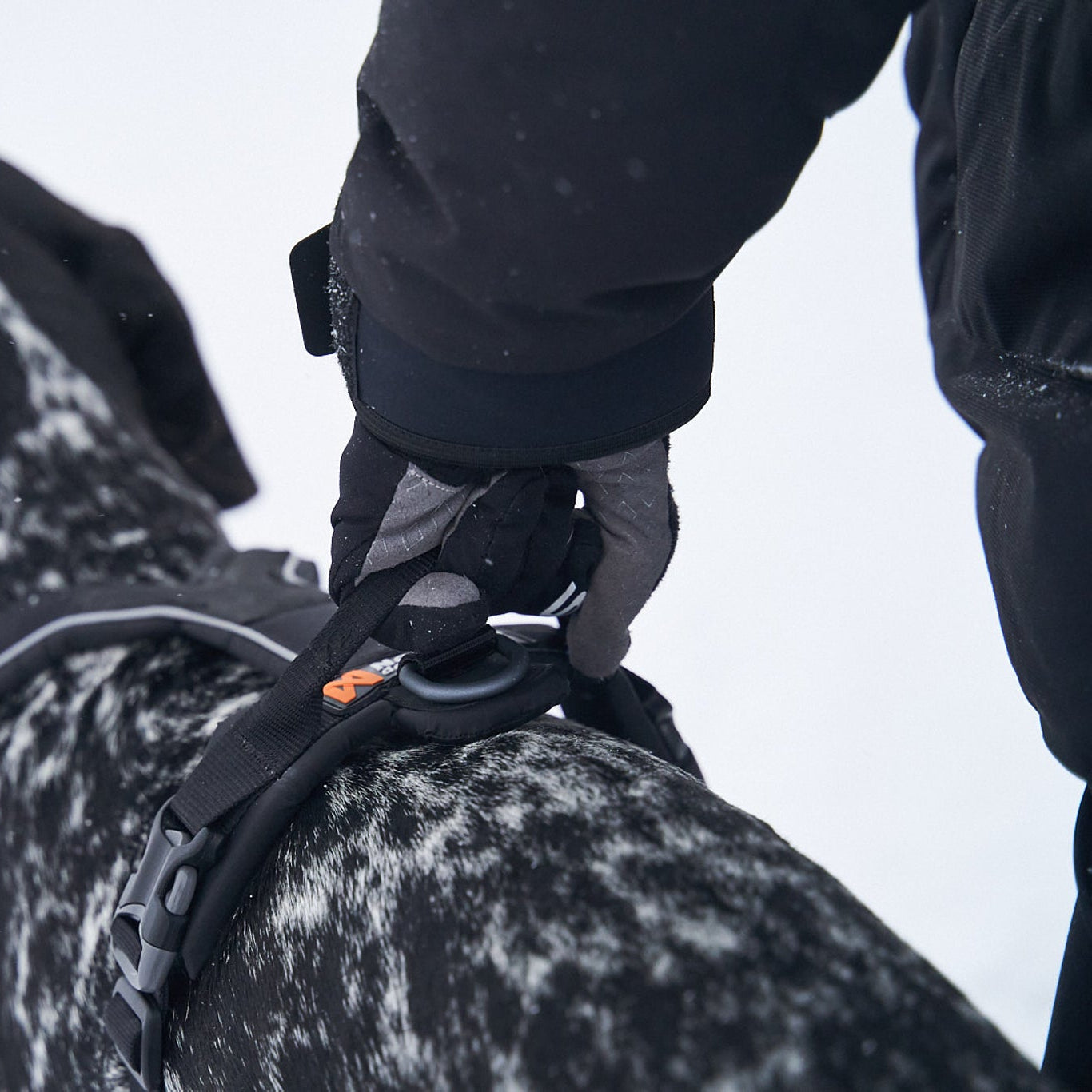 Non - stop Line Harness Grip - A - Vet Shop