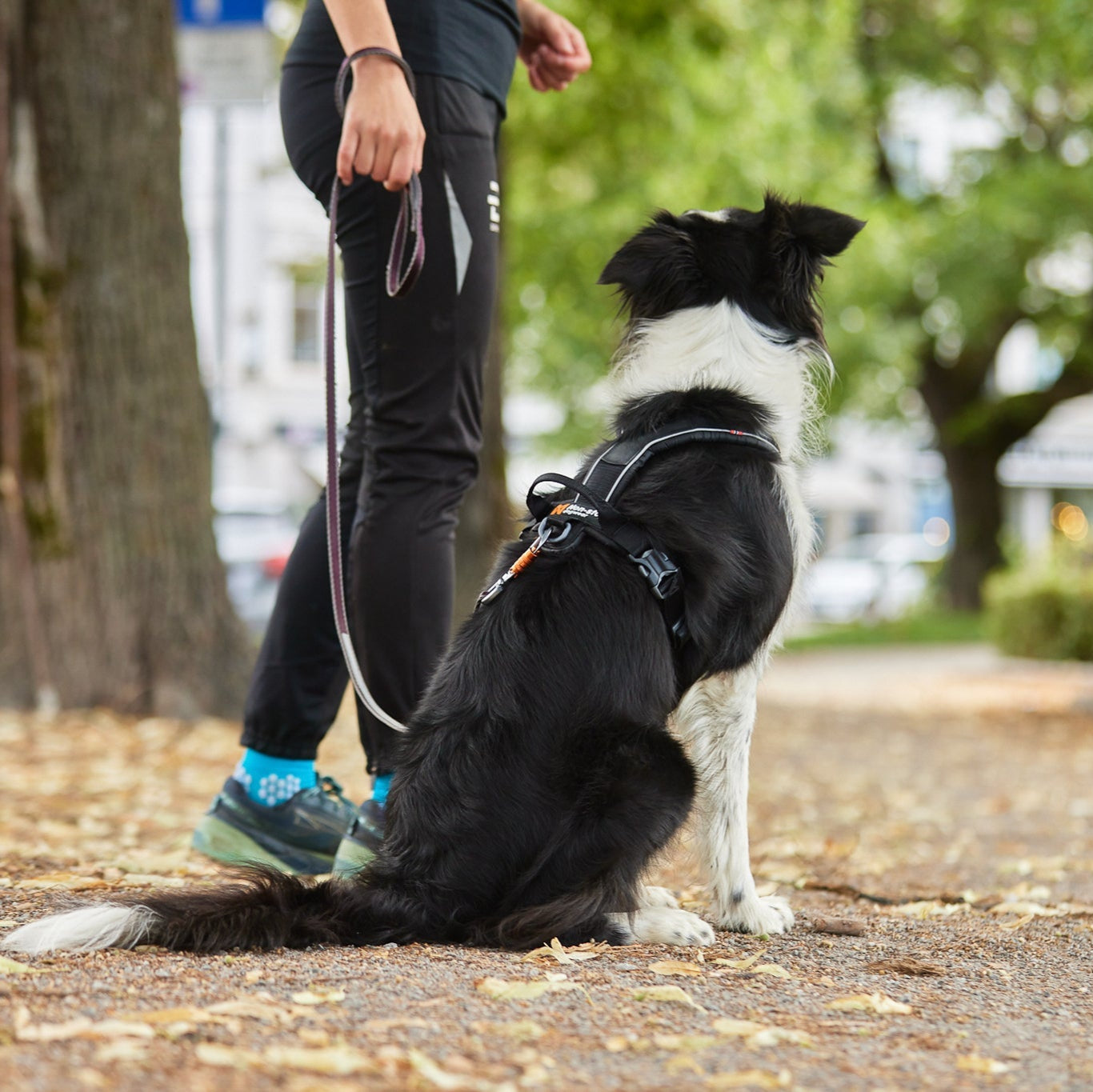 Non - stop Line Harness Grip - A - Vet Shop