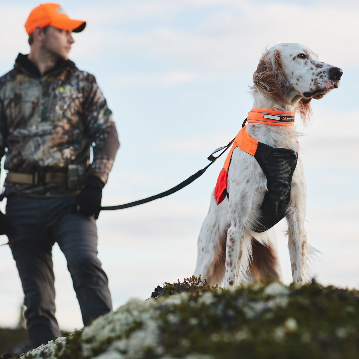 Non - stop Protector Vest - A - Vet Shop