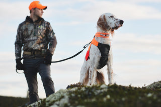 Non - stop Protector Vest - A - Vet Shop