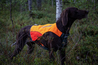 Non - stop Protector Vest - A - Vet Shop