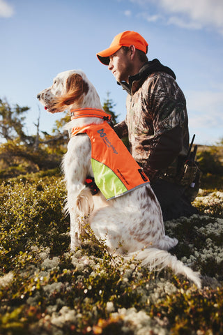 Non - stop Protector Vest - A - Vet Shop